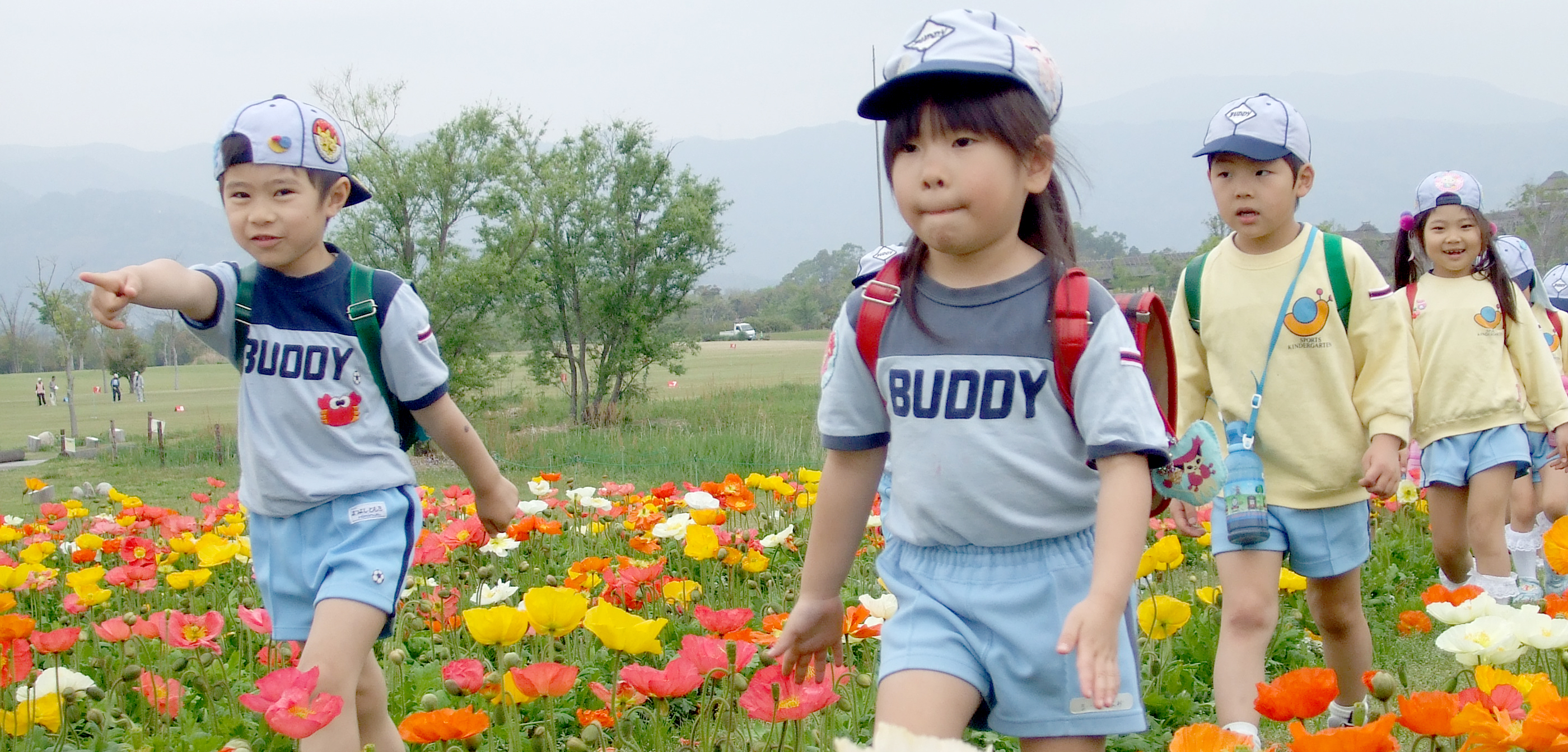 花畑を歩く園児たち