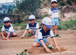 バディファーム