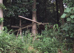 裏山の基地